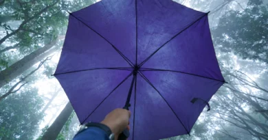 Başlık: Almanya’da Ayda 5 Euro’ya Huzur Satın Almak: Neden “Haftpflichtversicherung” Yaptırmalısınız?