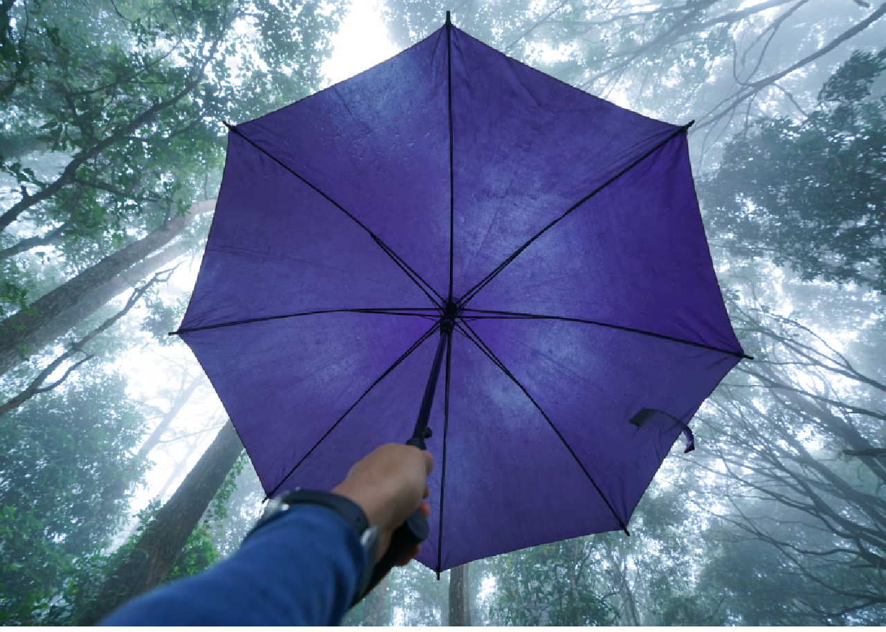 Başlık: Almanya’da Ayda 5 Euro’ya Huzur Satın Almak: Neden “Haftpflichtversicherung” Yaptırmalısınız?